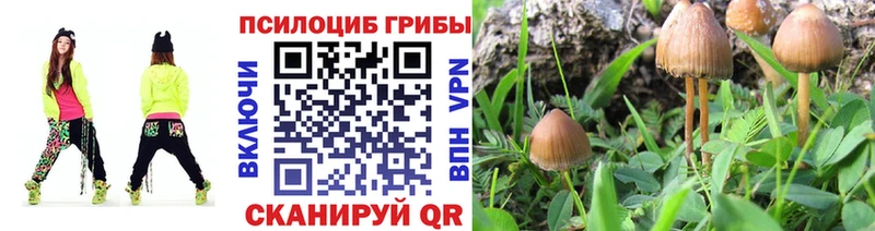 сайты даркнета состав  Поронайск  Псилоцибиновые грибы мухоморы 